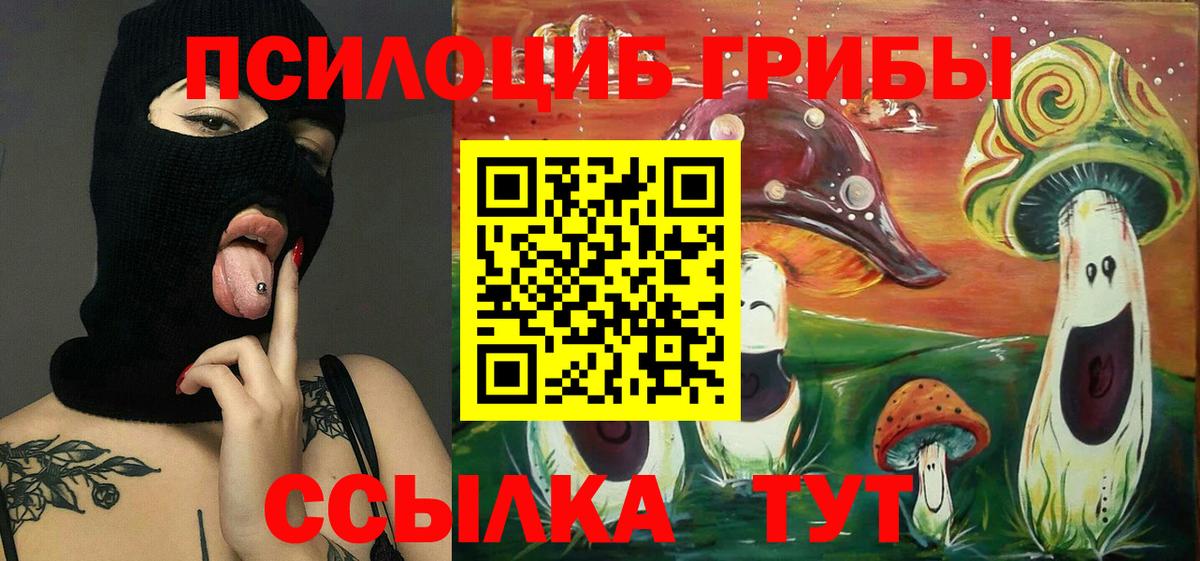 Галлюциногенные грибы MAGIC MUSHROOMS  Псилоцибиновые грибы прущие грибы  Зерноград  закладки  Вход с VPN 
